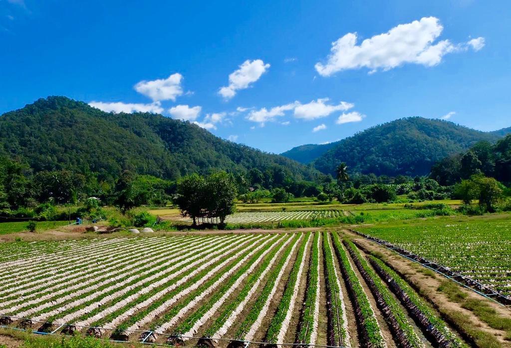 Wongwan Farm Villa Samoeng Luaran gambar